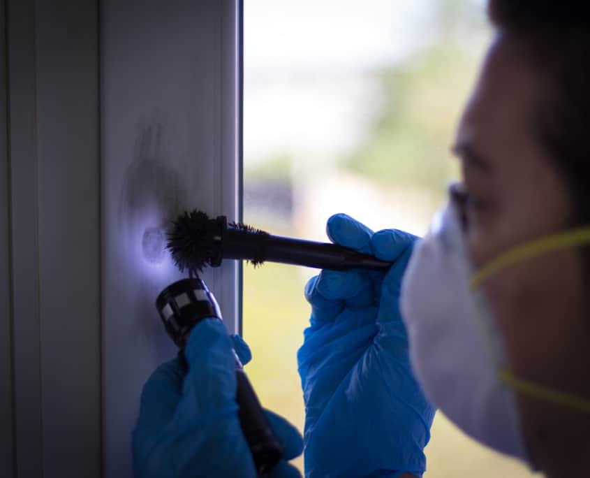 Dusting for Fingerprint Evidence