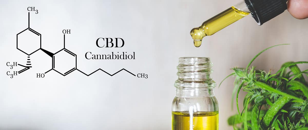 cbd vs thc